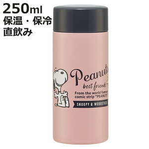  250ml yʃ{g SNobW i Xk[s[ }O{g ۉ ۗ  }O y {g RpNg L XeX{g Vv  ^ ֗ ̂ Ƃ y j