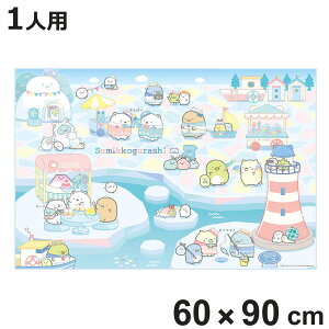 レジャーシート S 60×90cm すみっコぐらし しろくまふるさと ( すみっコ レジャーマット ピクニックシート 幼稚園 保育園 遠足 子供用 一人用 ピクニックマット キッズ 敷物 運動会 キャラ )