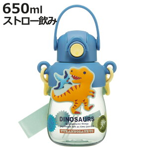  650ml o[}XRbgtXg[{g fBmTEX i Xg[t{g Xg[{g NA{g vbV ^b` Xg[^Cv q qp NA V_