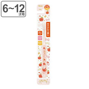 uV n[LeB wp q LN^[ 6`12 i wpuV qpuV 炩 LeB[ 15.5cm nuV RpNg wbh 炩  iv 