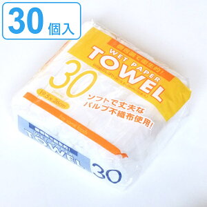 ĝ ڂ ی^ 30 i ĝėe j y3980~ȏ㑗z