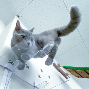 LbgXebv Cat Steps  ChXebv  NA LbgEH[N i  Lbg^[ lR Xebv ˂ L ǖʎt ^  V ȃXy[X DIY diy I 