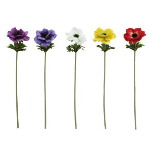  All i  t[ tFCNt[ 1{ A[gt[ ͂Ȃ CeA  t[AWg A[eBtBVt[ j y3980~ȏ㑗z