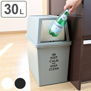 ゴミ箱 30L 分別 積み重ねゴミ箱 スリム ( 30l 30リットル ごみ箱 ふた付き キッチン ダストボックス スタッキング フロント プッシュ ふた付 前開き 蓋付き プラスチック製 くずかご ダストBOX