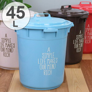 ゴミ箱 屋外 45lの人気商品 通販 価格比較 価格 Com