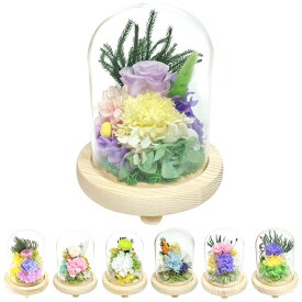 供え花 仏花 ガラス ドームアレンジメント プリザーブドフラワー （ 造花 ブリザードフラワー 枯れない 仏壇 ドーム お供え 花 フェイクフラワー 供花 御供え 枯れない花 水換え不要 夏 人工 お盆 お彼岸 お墓 法要 法事 仏具 ）【3980円以上送料無料】