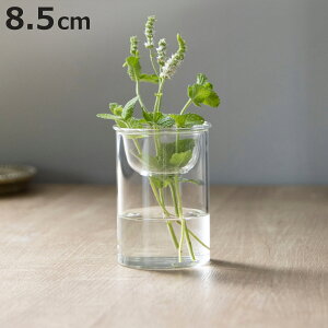 ԕr MINI BULB VASE ͔|KXx[X 8.5cm k͔| i Ԋ KX  t[x[X ֑}  NA O[ ͔| n[u CeA IuWF KX  t[OX 