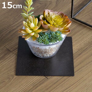 �v���[�g �W���Z�t�A�C�A���v���[�g 15×15cm �i �f�B�X�v���C �I �t�����[���b�N ����� �A�C�A���v���[�g ���� ���� �� �u�� �A�� �ϗt�A�� �� ���| ���[�I �������[ �C���e���A �j�y3980�~��