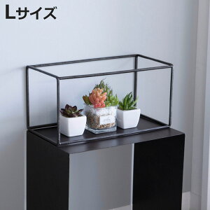 t[ WZtACA fBXvCC[t[ N^O LTCY i fBXvC I t[bN  ACAt[    u A ϗtA  | 