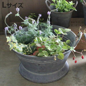  uL uLnhoPc L i v^[ vg|bg Ap|bg Jo[ uL|bg uL A  hCt[ ϗtA A | CeA [ ی^ PVC|