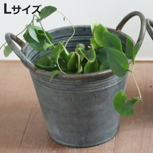 Aؔ uLnh|bg L i v^[ vg|bg Ap|bg Jo[ uL|bg uL A  hCt[ ϗtA A | CeA [ uL ی^ P