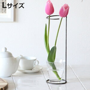 x WZtACA t[T|[gC[X^h LTCY i t[X^h Ԃт Ԋ x[X ACA ֑}   T|[g C[X^h  A ԃX^h t