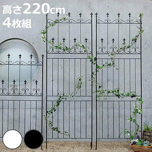 tFX I[hVg[tFX 220cm nC^Cv 4g i K[ftFX CeA K[fjOG AeB[N  K[fjO X`[ fBXvC IuWF u