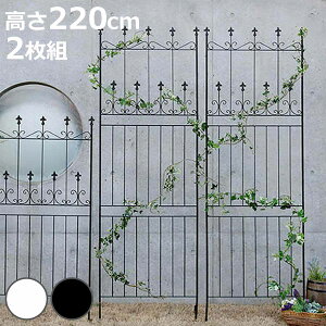 tFX I[hVg[tFX 220cm nC^Cv 2g i K[ftFX CeA K[fjOG AeB[N  K[fjO X`[ fBXvC IuWF u