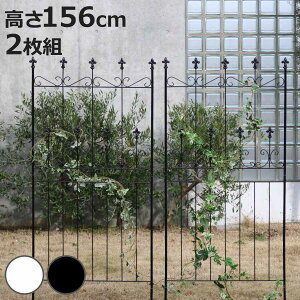 tFX I[hVg[tFX 156cm [^Cv 2g i K[ftFX CeA K[fjOG AeB[N  K[fjO X`[ fBXvC IuWF u