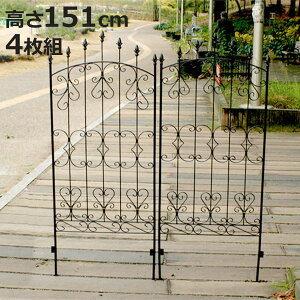 tFX ACA [YtFX 151cm 4g i K[ftFX CeA K[fjOG AeB[N  K[fjO X`[ fBXvC IuWF u  K[f