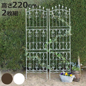 tFX ACA [YtFX 220cm nC^Cv 2g i K[ftFX CeA K[fjOG AeB[N  K[fjO X`[ fBXvC IuWF u