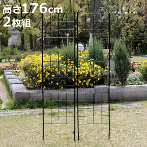 tFX ACAtFX X^Cv 176cm OtV[Y 2g i K[ftFX CeA K[fjOG AeB[N  K[fjO X`[ fBXvC I