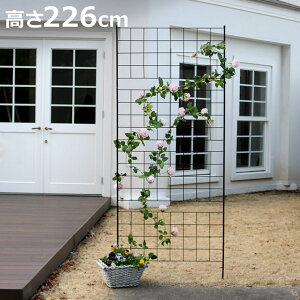 フェンス アイアンフェンス 高さ226cm グラフシリーズ ( ガーデンフェンス インテリア ガーデニング雑貨 アンティーク おしゃれ ガーデニング スチール ディスプレイ オブジェ 置物 庭 ガー