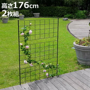 フェンス アイアンフェンス 高さ176cm グラフシリーズ 2枚組 ( ガーデンフェンス インテリア ガーデニング雑貨 アンティーク おしゃれ ガーデニング スチール ディスプレイ オブジェ 置物 庭