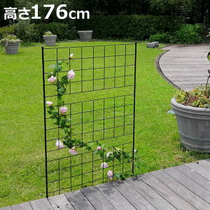フェンス アイアンフェンス 高さ176cm グラフシリーズ ( ガーデンフェンス インテリア ガーデニング雑貨 アンティーク おしゃれ ガーデニング スチール ディスプレイ オブジェ 置物 庭 ガー