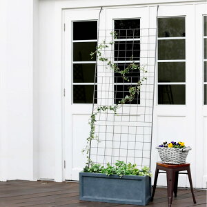 O[J[e ACAO[J[e Ot i O[tFX O[ J[e tFX K[ftFX  K[fjO X`[ ΂̃J[e  K[fOb