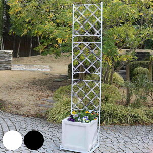 tFX v^[ttFX X^Cv A[KC i K[ftFX v^[ v^[bN t[bN X`[   O t[X^h v^[