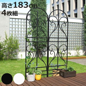 tFX ACAgX tBjA 183cm 4g i ACAtFX gX K[ftFX CeA K[fjOG AeB[N  K[fjO X`[ fBX