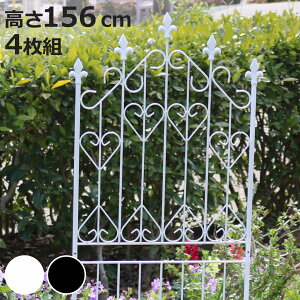 tFX ACAtFX 156cm [^Cv 4g i ACA K[ftFX CeA K[fjOG AeB[N  K[fjO X`[ fBXvC IuWF u