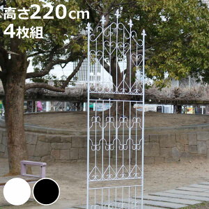 tFX ACAtFX 220cm nC^Cv 4g i ACA K[ftFX CeA K[fjOG AeB[N  K[fjO X`[ fBXvC IuWF u