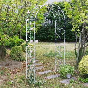 K[fA[` ACAA[` Blossom Heart i A[` SA[`  [YA[` oRj[A[` K[fjO ډB  Ȉ ACA KNA[` o ԗ ԑ 뉀 