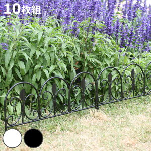 tFX ACA~jtFX [t 10g i K[ftFX ACA  | GNXeA G Ԓd  x_ oRj[ K[fjO ACAK[ftFX gX j