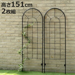 フェンス アイアンフェンス ロータイプ 高さ151cm 2枚組 ( ガーデンフェンス インテリア ガーデニング雑貨 アンティーク おしゃれ ガーデニング アイアン 鉄 ディスプレイ オブジェ 置物 庭