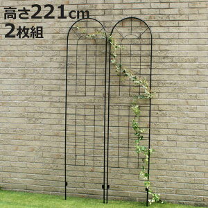 フェンス アイアンフェンス ハイタイプ 高さ221cm 2枚組 ( ガーデンフェンス インテリア ガーデニング雑貨 アンティーク おしゃれ ガーデニング アイアン 鉄 ディスプレイ オブジェ 置物 庭