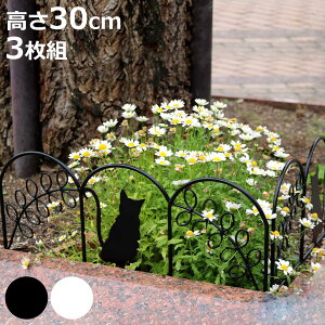 ACAtFX ~j L 3g i K[ftFX ACA  | GNXeA G ˂ lR Ԓd  x_ oRj[ K[fjO ACAK[ftFX gX jy3980