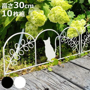 ACAtFX ~j L 10g i K[ftFX ACA  | GNXeA G ˂ lR Ԓd  x_ oRj[ K[fjO ACAK[ftFX gX jy398