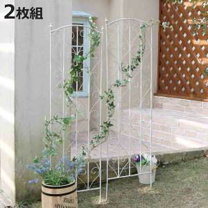 tFX ueB[N zCgACAgX 147cm 2g i O[tFX O[ J[e K[ftFX v^[ K[fjO X`[ ΂̃J[e  K[f