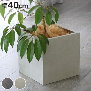 v^[ Obe ΒFRPv^[ 40cm p^ i v^[Jo[ XNGA Aؔ  ꌊ O O ƒ؉ 񂹐A  |bg Jo[ A  ی^ ~^ ^v^