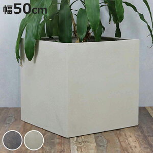 v^[ Obe ΒFRPv^[ 50cm p^ i v^[Jo[ XNGA Aؔ  ꌊ O O ƒ؉ 񂹐A  |bg Jo[ A  ی^ ~^ ^v^