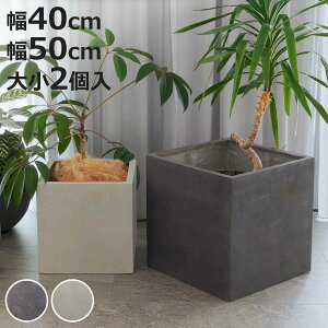 v^[ Obe ΒFRPv^[ 40cm 50cm p^ 召2Zbg i v^[Jo[ XNGA Aؔ  ꌊ O O ƒ؉ 񂹐A |bg Jo[ A  ی^ ~^ 