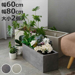 v^[ Obe ΒFRPv^[ 60cm 80cm p 召2Zbg i v^[Jo[ XNGA Aؔ  ꌊ O O ƒ؉ 񂹐A |bg Jo[ A  ی^ ~^ 