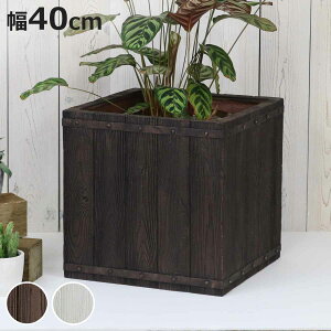 v^[ t@[o[ ؒFRPv^[ 40cm p^ i v^[Jo[ Eh Aؔ  ꌊ O O ƒ؉ 񂹐A  |bg Jo[ A  ` ^v^[