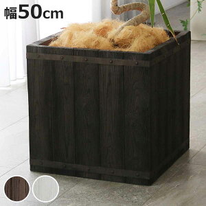 v^[ t@[o[ ؒFRPv^[ 50cm p^ i v^[Jo[ Eh Aؔ  ꌊ O O ƒ؉ 񂹐A  |bg Jo[ A  ` ^v^[