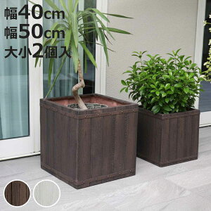 v^[ t@[o[ ؒFRPv^[ 40cm 50cm p^ 召2Zbg i v^[Jo[ Eh Aؔ  ꌊ O O ƒ؉ 񂹐A |bg Jo[ A  ` ^