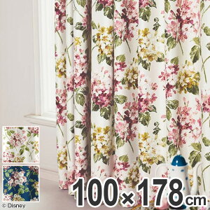 J[e ՌJ[e X~mG AX AWTC 100×178cm AC{[ i Ռ fBYj[ h[vJ[e Disney ӂ̍̃AX LN^[  Ռ2 􂦂 `L ԕ t