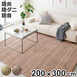 O X~mG Xg 200×300cm h h_j g[Ή i O}bg J[ybg O~ イ ` }bg gΉ g h_jH hH tH[X^[ zbgJ[ybg