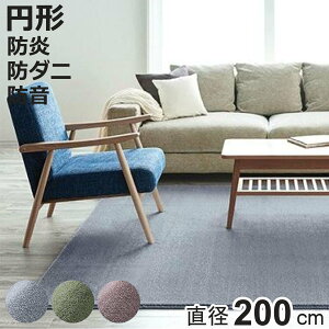 O X~mG J[ ~` 200×200cm g[Ή h_j i O}bg O~ イ J[ybg ~ a200cm }bg gΉ g h_jH hH tH[X^[ zbgJ[ybg