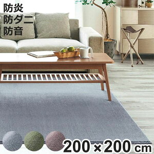 O X~mG J[ 200×200cm g[Ή h_j i O~ }bg O}bg ` gΉ h_jH hH tH[X^[ fBJTCX h { g zbgJ[ybg 