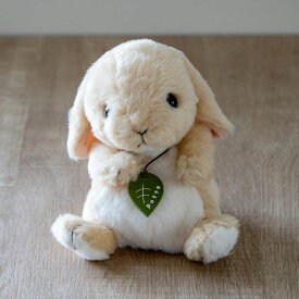 ぬいぐるみ potte ロップイヤー （ ヌイグルミ 動物 小動物 雑貨 インテリア アニマル グッズ ベビー 赤ちゃん プレゼント ギフト かわいい 縫いぐるみ 人形 手乗り 小さい 癒しグッズ 子ども キッズ 出産祝い 女の子 男の子 ） 【3980円以上送料無料】