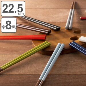  22.5cm p ؐ VR { i H@Ή  ͂ j   ~ p aH jp H@ ͂ nV ׂ~ p` Jg[  킢 j y3980~